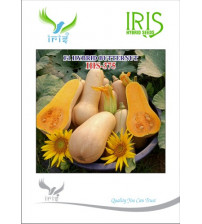 Butternut F1 Iris IHS-375 10 grams